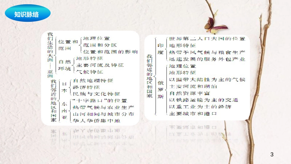 中考地理一轮复习 亚洲课件_第3页