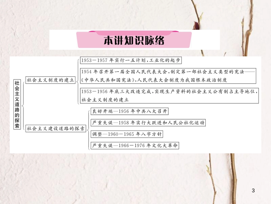 （河北专版）中考历史总复习 第8讲 社会主义道路的探索必考考点清单课件_第3页