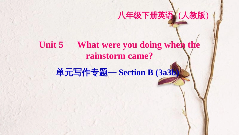 八年级英语下册 Unit 5 What were you doing when the rainstorm came写作专题—Section B(3a-3b)习题课件 （新版）人教新目标版_第1页