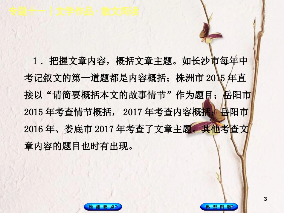 湖南省2018年中考语文 专题十一 文学作品 散文阅读_第3页