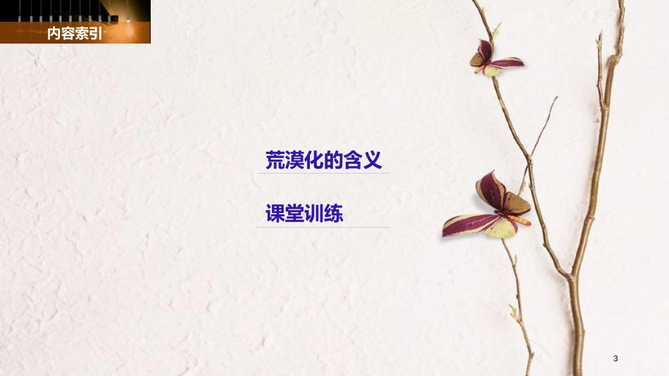 高中地理 第二章 区域可持续发展 第一节 荒漠化的危害与治理——以我国西北地区为例（1）同步备课课件 湘教版必修3_第3页