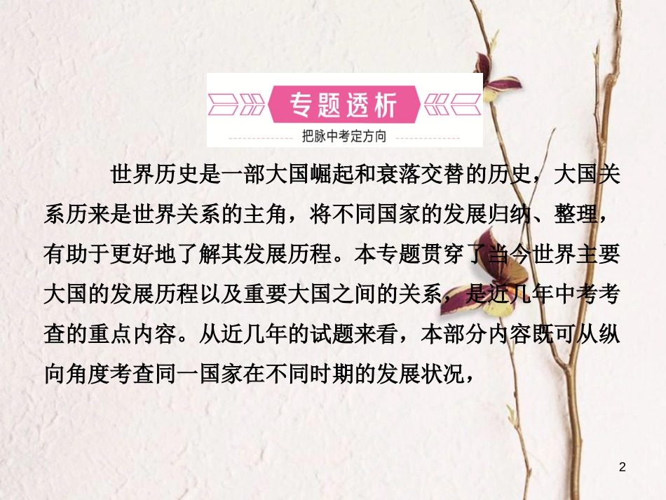 河北省中考历史复习 专题四 大国发展史及重要大国关系课件_第2页