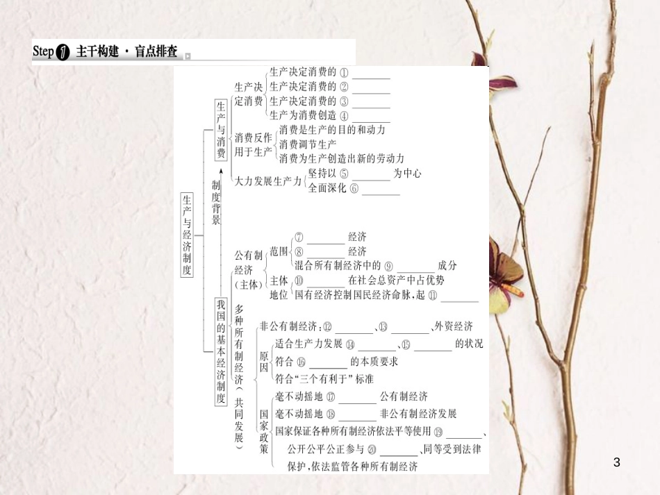 2019年高考政治一轮复习 第二单元 生产、劳动与经营 4 生产与经济制度课件 新人教版必修1_第3页