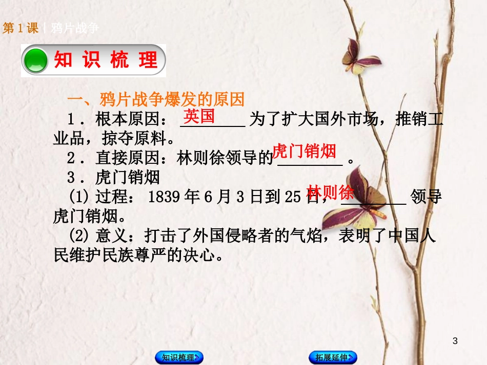 广西柳州市中考历史总复习 八上 第一单元 列强的侵略与中国人民的抗争 第1课 鸦片战争课件_第3页