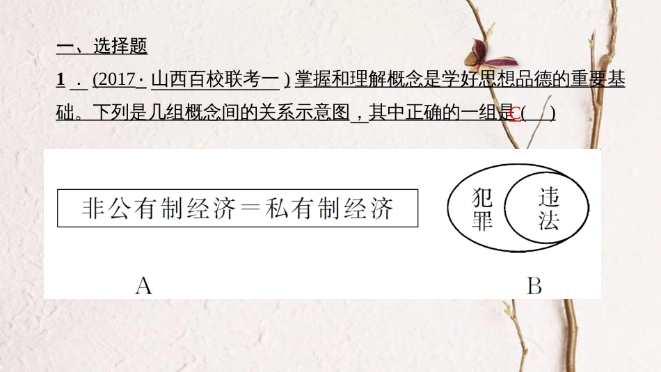 （山西地区）中考政治总复习 考点聚焦 九年级 第四单元 满怀希望 迎接明天 第九课 实现我们的共同理想课件_第3页