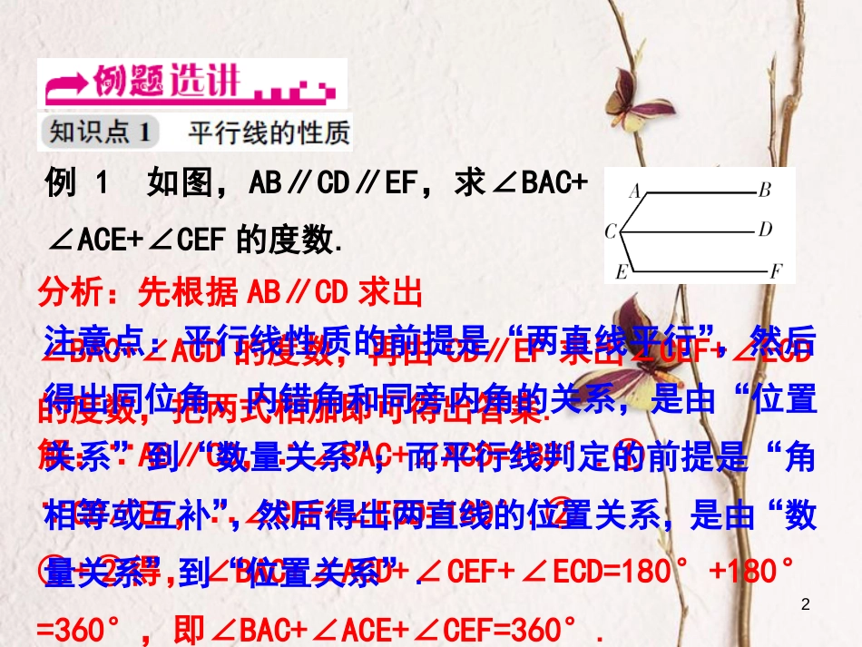 浙江省嘉兴市秀洲区七年级数学下册 第1章 平行线 1.4 平行线的性质（第2课时）课件 （新版）浙教版_第2页