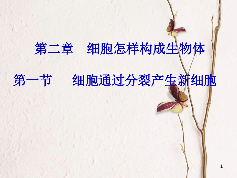 湖南省桑植县七年级生物上册 第二单元 第二章 第一节 细胞通过分裂产生新细胞课件 （新版）新人教版_第1页