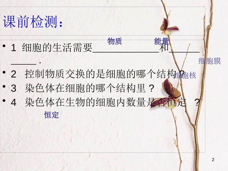 湖南省桑植县七年级生物上册 第二单元 第二章 第一节 细胞通过分裂产生新细胞课件 （新版）新人教版_第2页