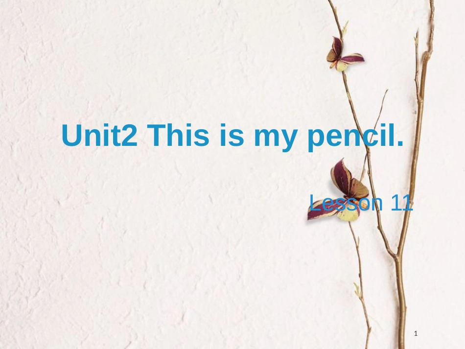 三年级英语上册 Unit 2 This is my pencil（Lesson 11）教学课件 人教精通版_第1页