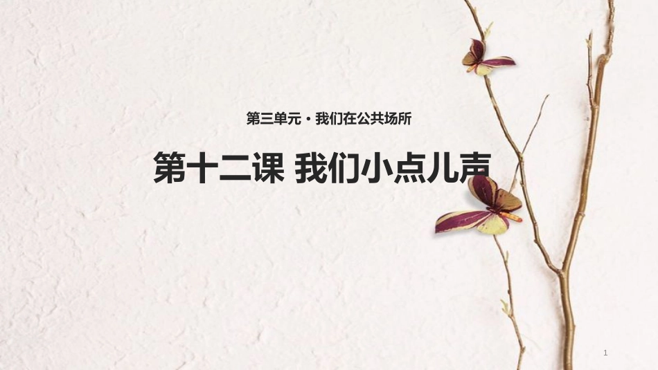 （水滴系列）二年级道德与法治上册 第三单元 我们在公共场所 12《我们小点儿声》教学课件 新人教版_第1页