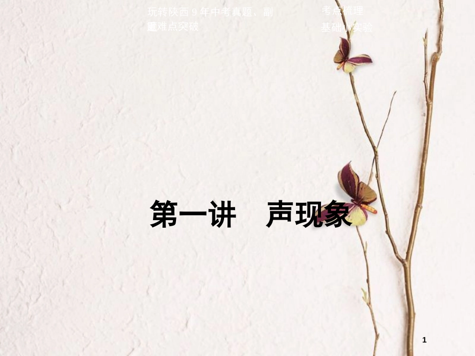 中考物理二轮复习 第一讲 声现象课件_第1页