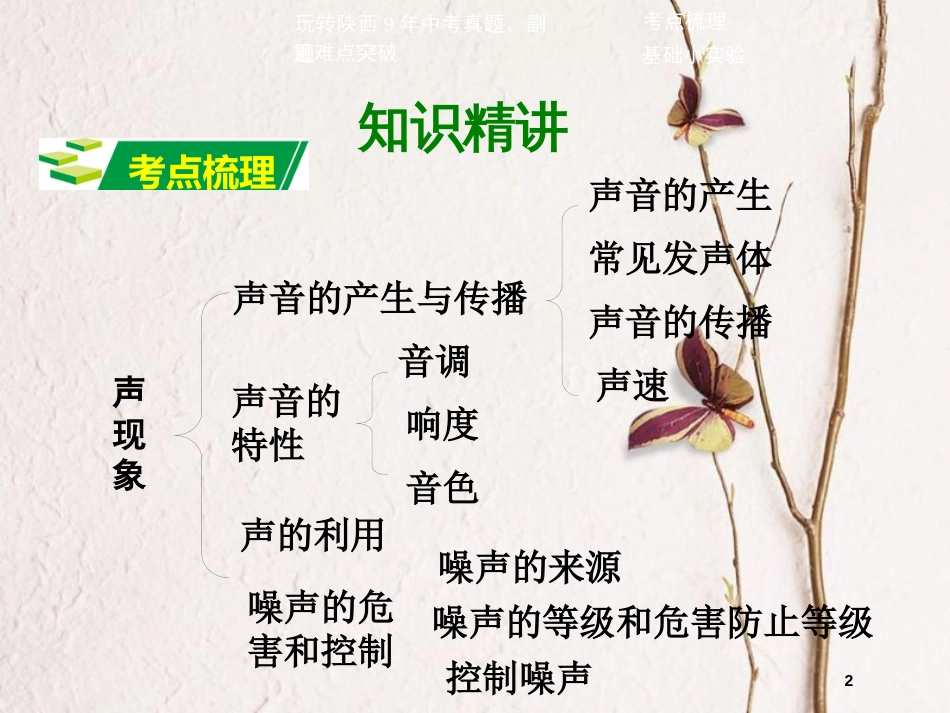 中考物理二轮复习 第一讲 声现象课件_第2页