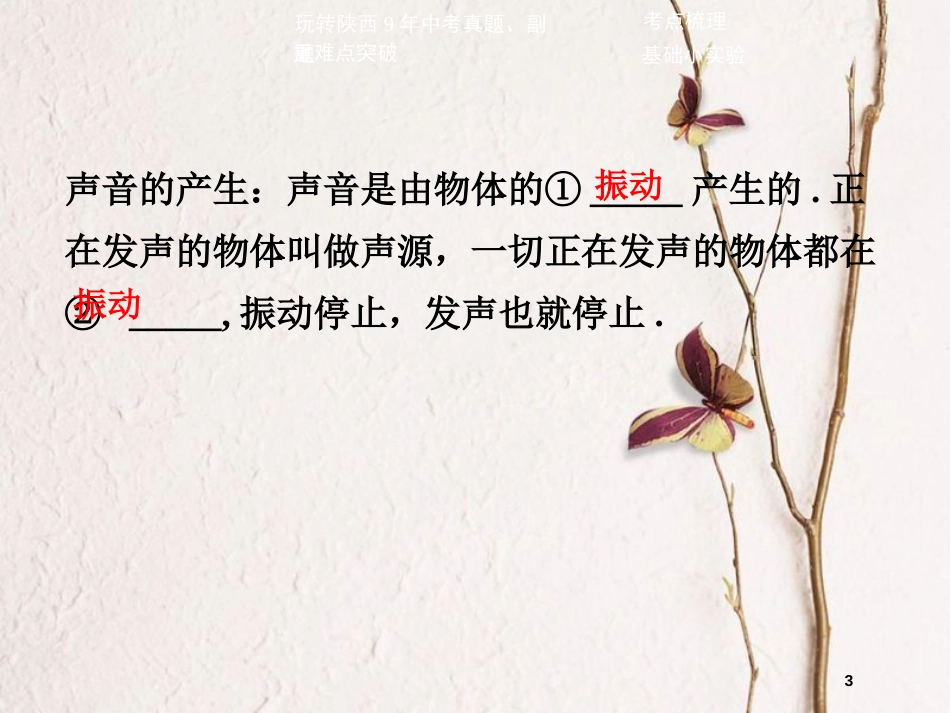 中考物理二轮复习 第一讲 声现象课件_第3页