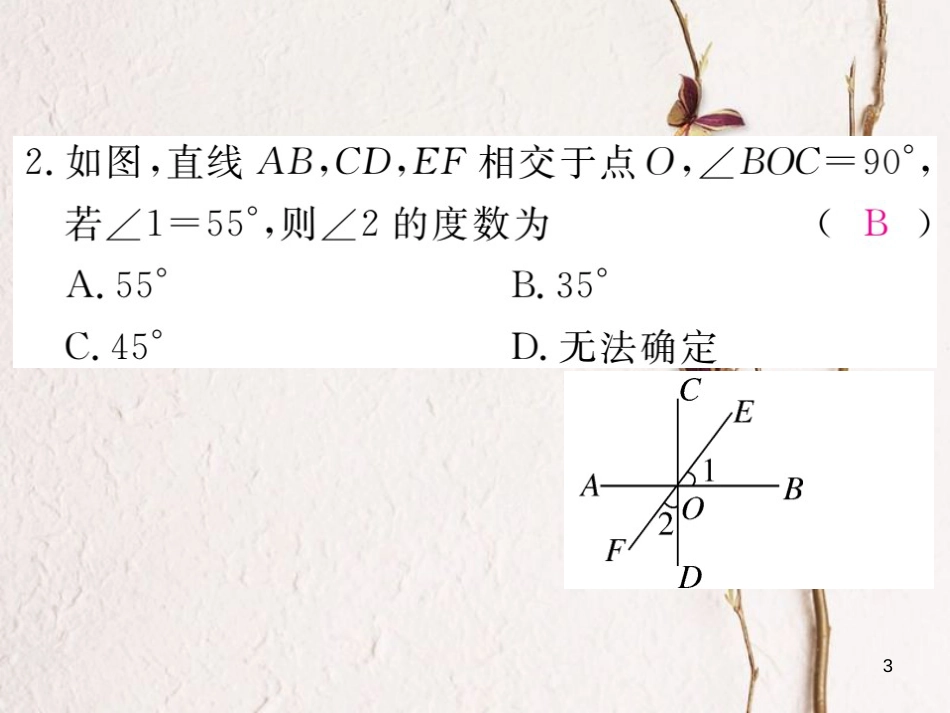 七年级数学下册 第二章 相交线与平行线热点专练练习课件 （新版）北师大版_第3页