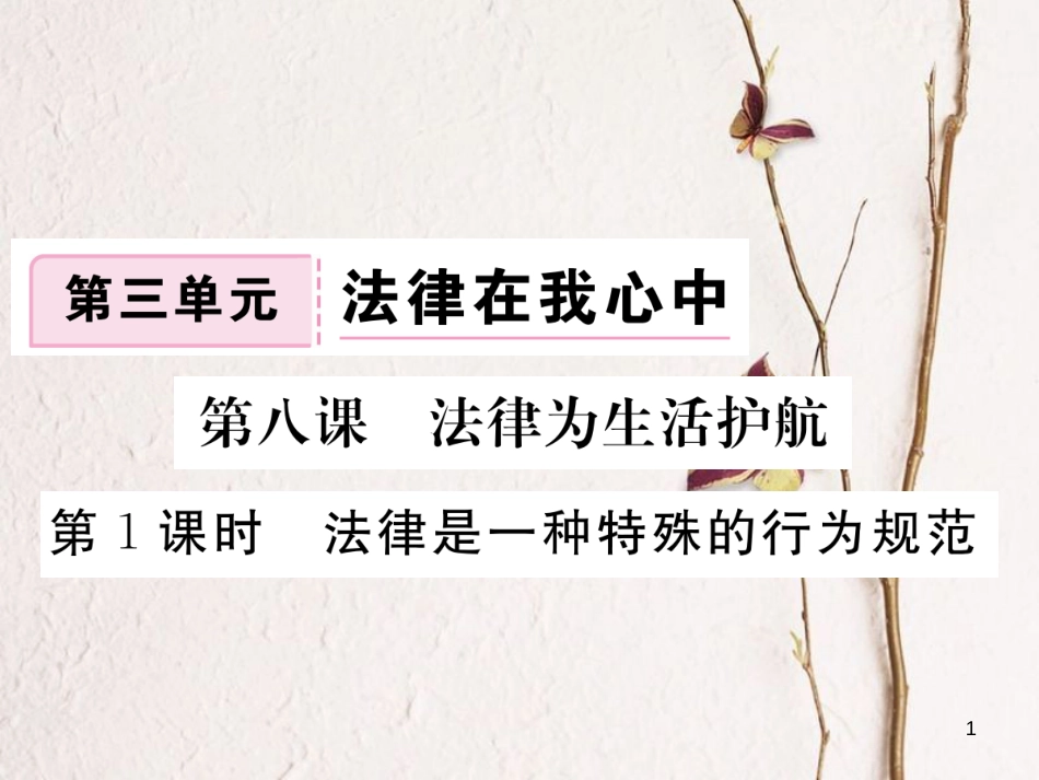 八年级道德与法治上册 第三单元 法律在我心中 第八课 法律为生活护航 第1框《法律是一种特殊的行为规范》习题课件 人民版_第1页