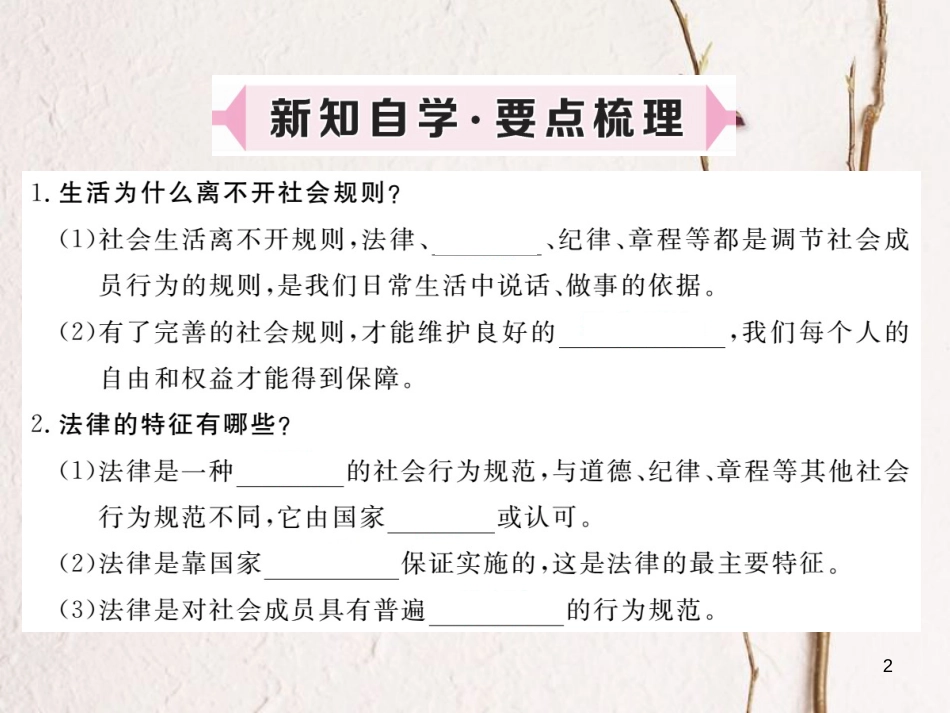 八年级道德与法治上册 第三单元 法律在我心中 第八课 法律为生活护航 第1框《法律是一种特殊的行为规范》习题课件 人民版_第2页