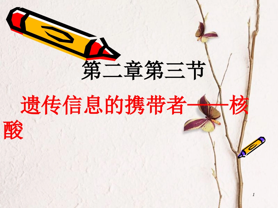 辽宁省北票市高中生物 第二章 组成细胞的分子 2.3 遗传信息的携带者——核酸课件 新人教版必修1_第1页