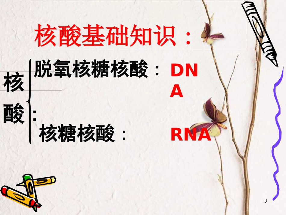 辽宁省北票市高中生物 第二章 组成细胞的分子 2.3 遗传信息的携带者——核酸课件 新人教版必修1_第3页