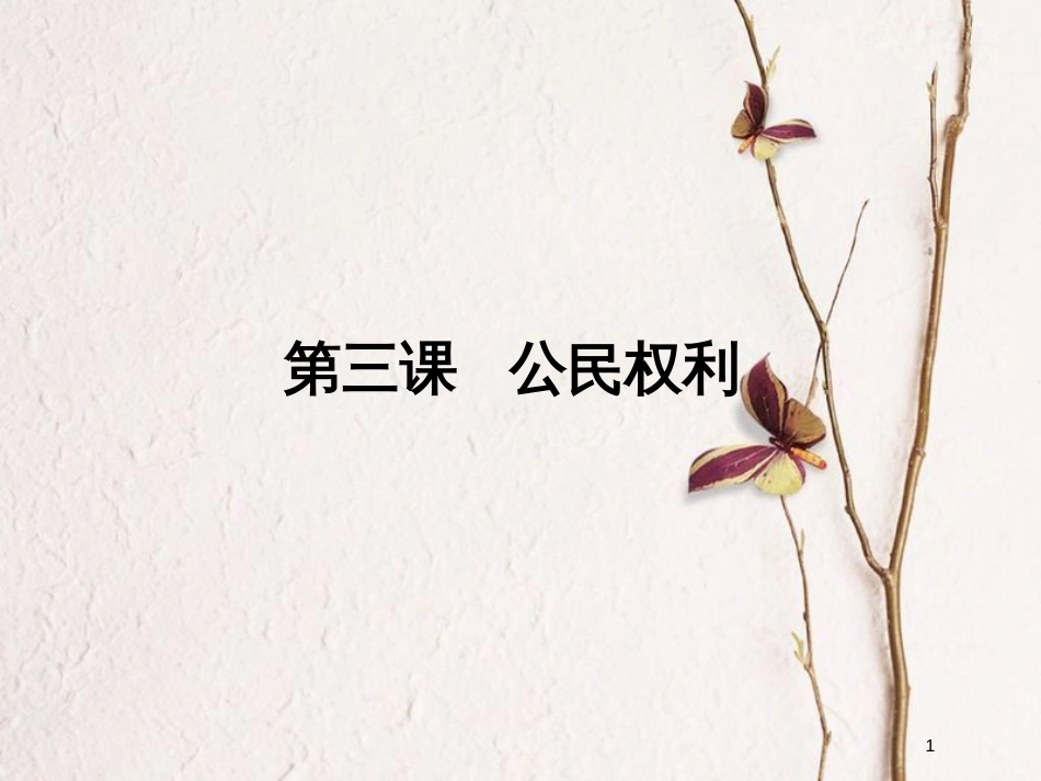 八年级道德与法治下册 第二单元 理解权利义务 第三课 公民权利复习课件 新人教版_第1页