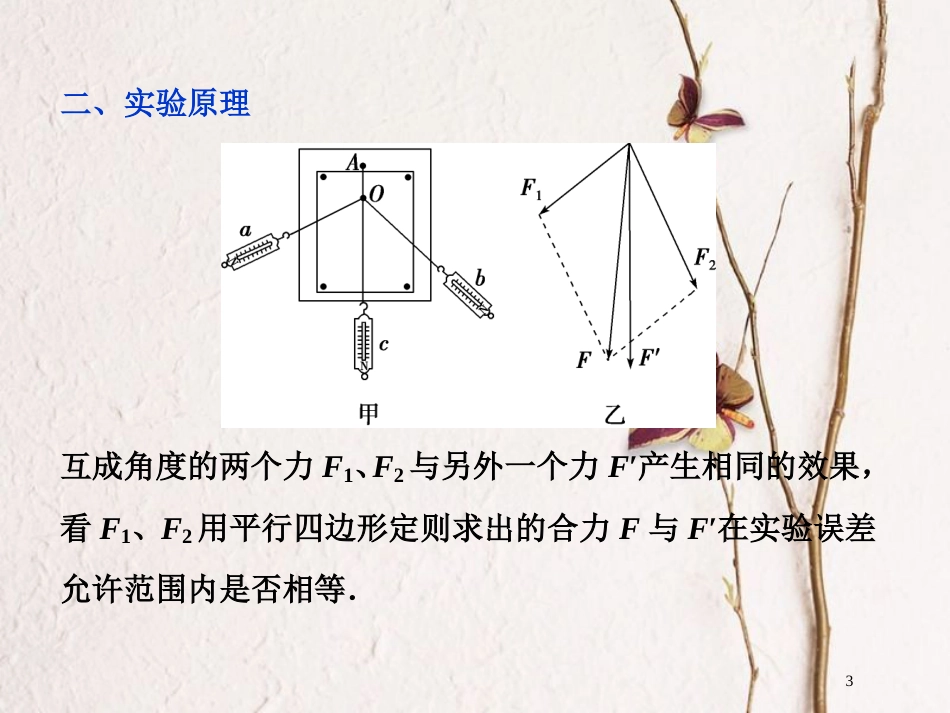 2019届高考物理总复习 第二章 相互作用 实验三 验证力的平行四边形定则课件_第3页