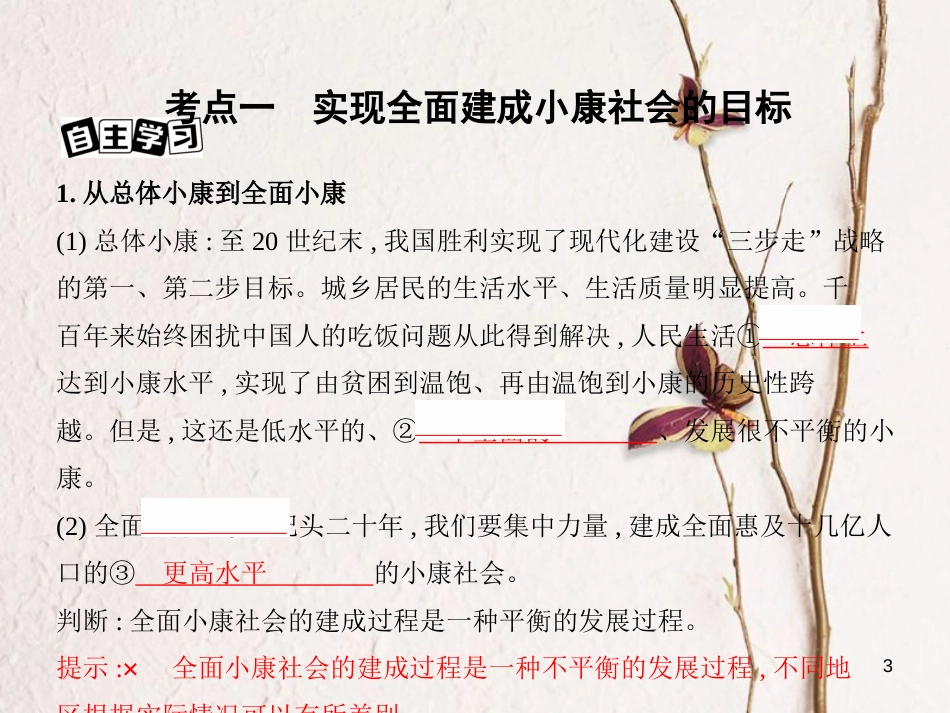 2019届高考政治一轮复习 第四单元 发展社会主义市场经济 第10课时 科学发展观和小康社会的经济建设课件 新人教版必修1_第3页