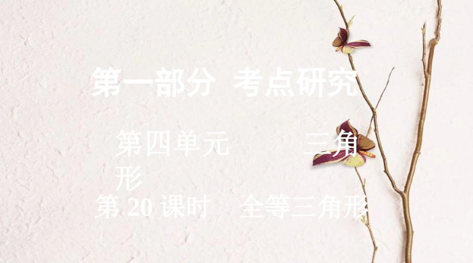 浙江省中考数学复习第一部分考点研究第四单元三角形第20课时全等三角形课件_第1页