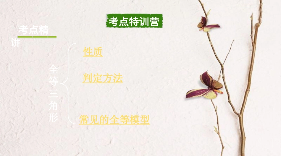 浙江省中考数学复习第一部分考点研究第四单元三角形第20课时全等三角形课件_第2页