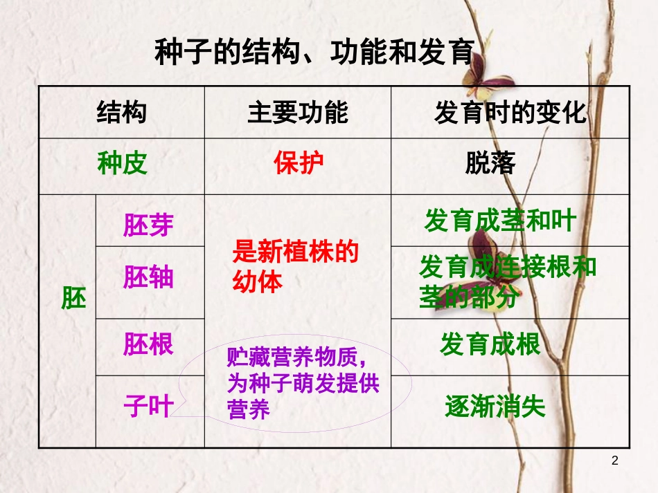 学年八年级生物上册 19.1 植物的生殖课件5 苏科版_第2页