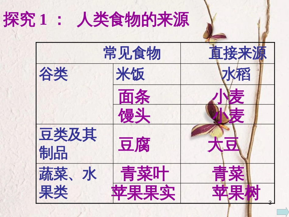 七年级生物上册 3.7.1绿色植物是食物之源课件 （新版）苏教版_第3页