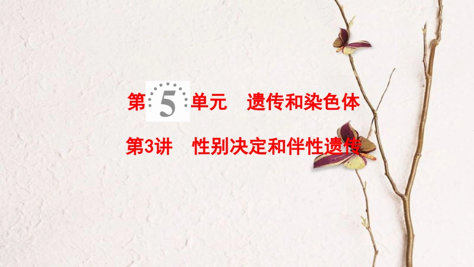 2019版高考生物一轮复习 第5单元 遗传和染色体 第3讲 性别决定和伴性遗传课件 苏教版_第1页