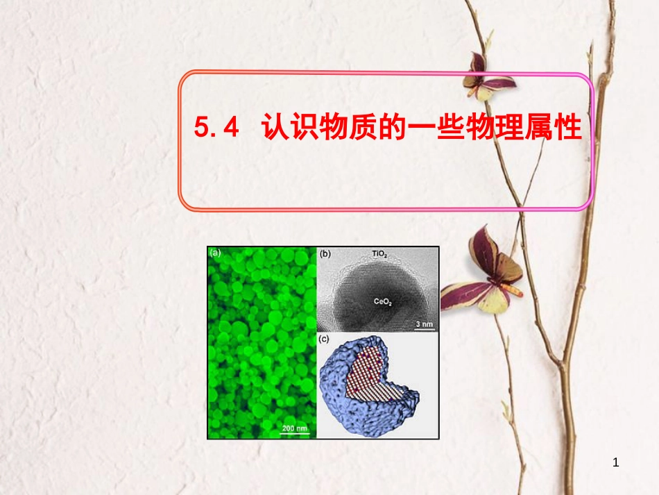 八年级物理上册 5.4 认识物质的一些物理属性课件6 （新版）粤教沪版_第1页