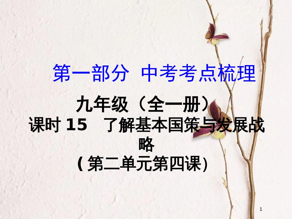湖南省中考政治总复习 课时15 了解基本国策与发展战略课件_第1页