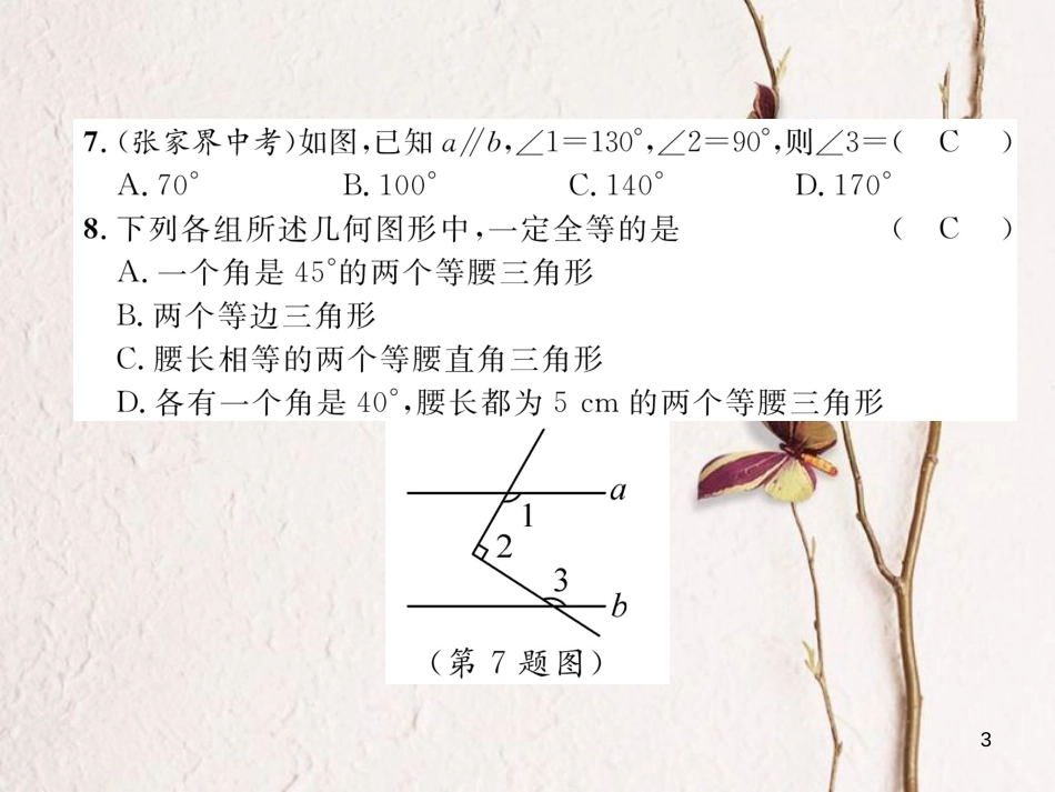 （成都专版）七年级数学下册 期末达标测试卷作业课件 （新版）北师大版_第3页