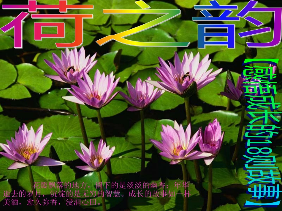 八年级道德与法治上册 第二单元 与人和谐相处 第六课《诚实与宽容》课件1 陕教版_第2页