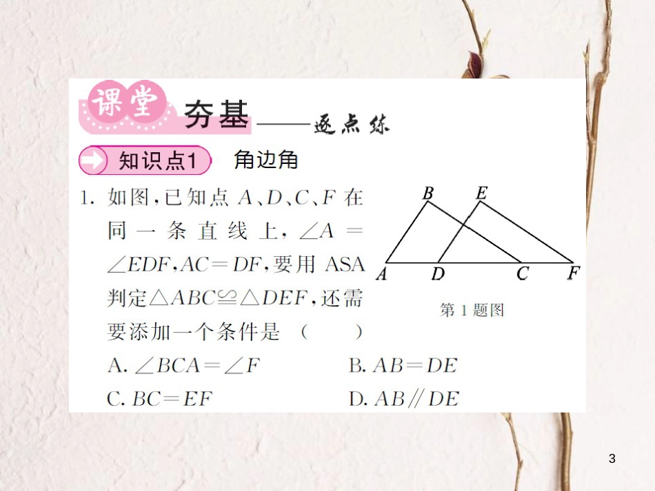 八年级数学上册 第2章 三角形 2.5 全等三角形 第3课时 全等三角形的判定2习题课件 （新版）湘教版_第3页