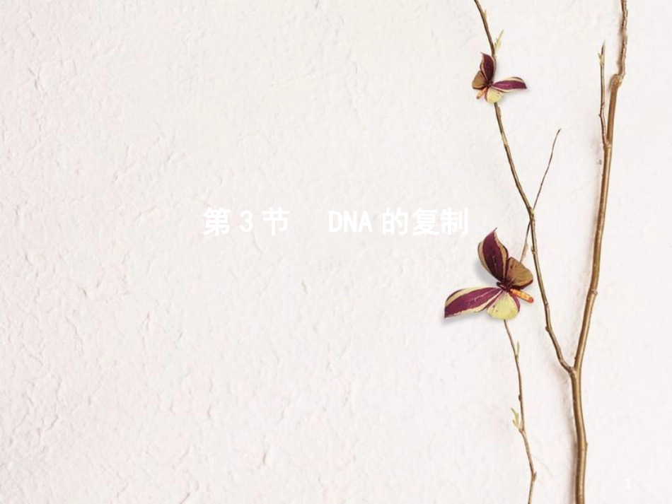 高中生物 第3章 基因的本质 第3节 DNA的复制课件 新人教版必修2_第1页