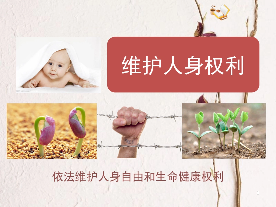 八年级政治下册 第六单元 我们的人身权利 6.1《维护人身权利》情境探究型课件 粤教版_第1页