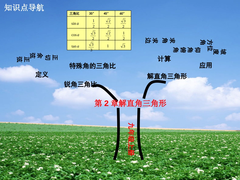 九年级数学上册 2.5 解直角三角形的应用复习课件 （新版）青岛版_第3页