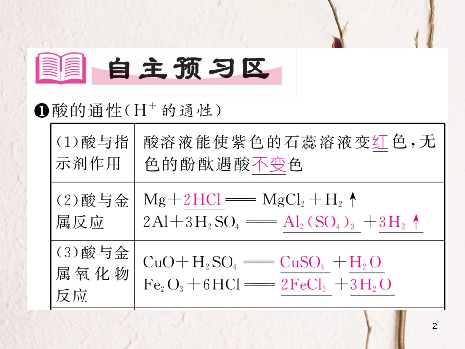 九年级化学下册 第10单元 酸和碱 实践活动6 酸、碱的化学性质作业课件 （新版）新人教版_第2页
