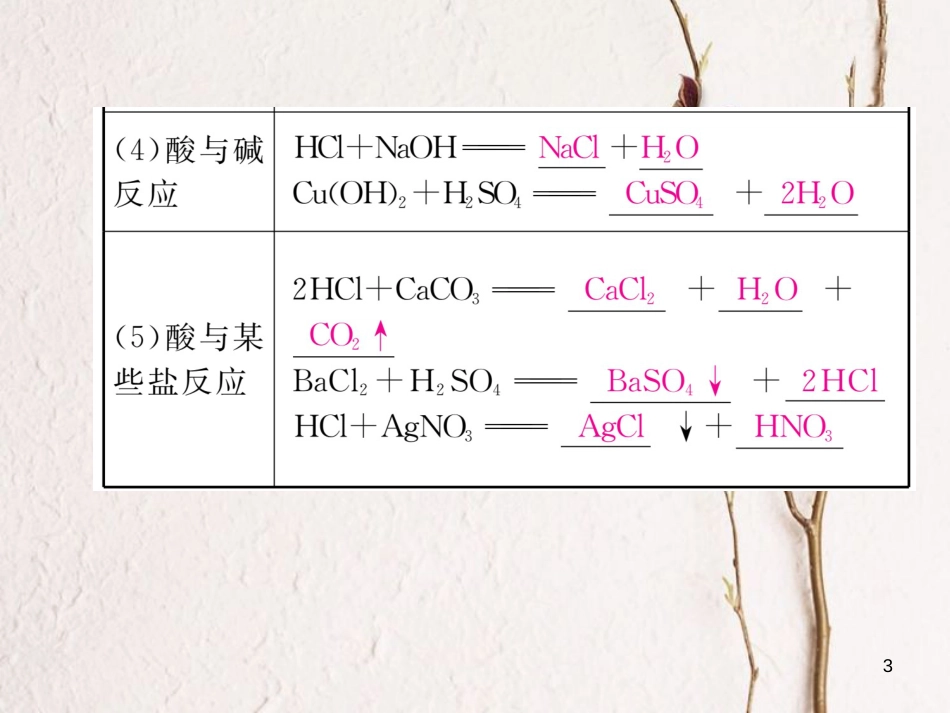 九年级化学下册 第10单元 酸和碱 实践活动6 酸、碱的化学性质作业课件 （新版）新人教版_第3页