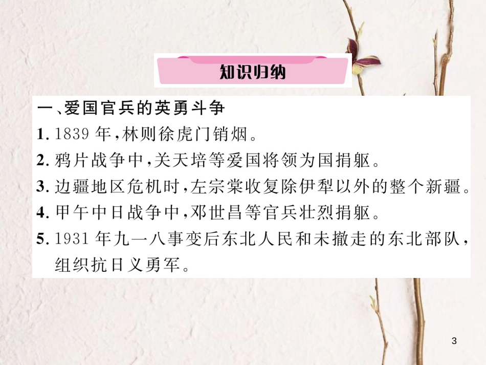 （河北专版）中考历史总复习 专题2 近代中国人民的抗争与探索史课件_第3页