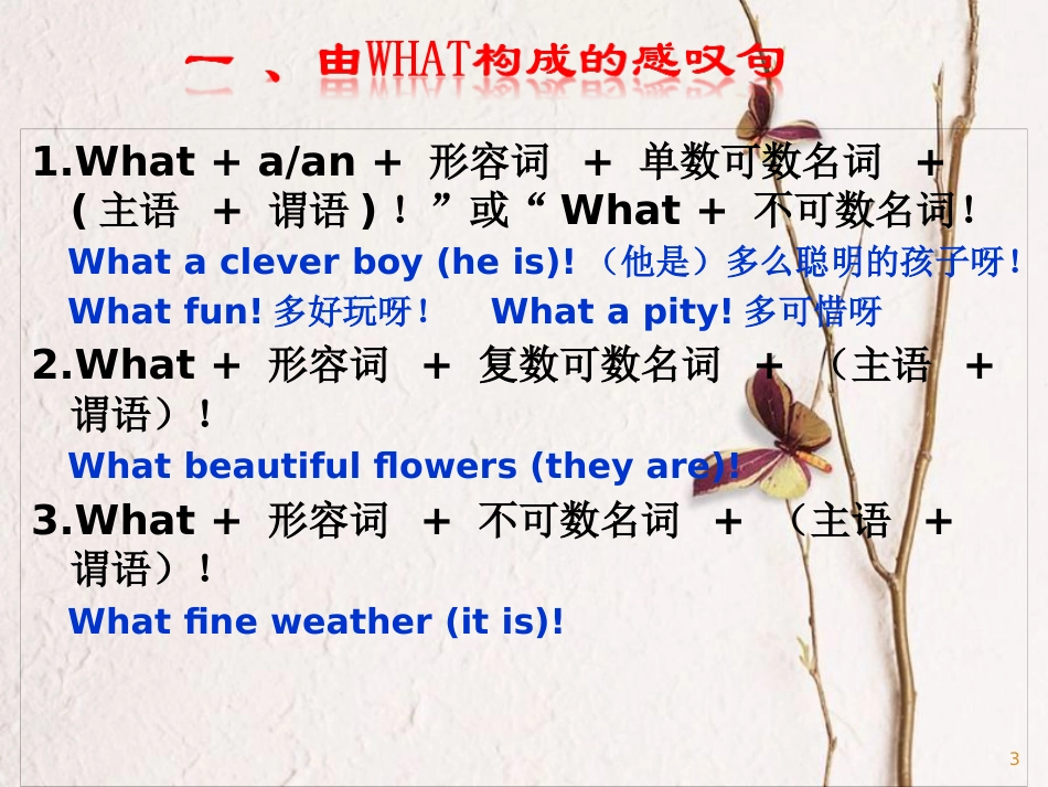 河南省中考英语 感叹句课件_第3页
