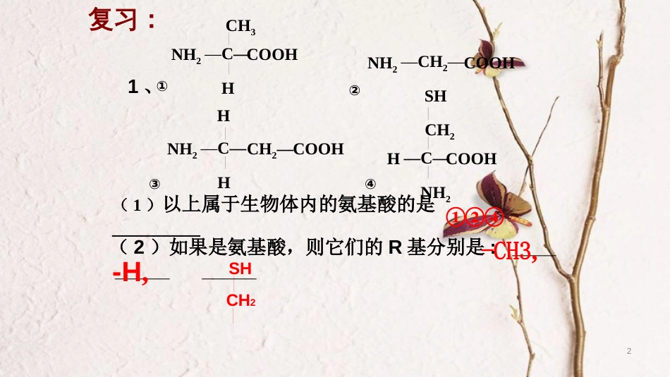 辽宁省北票市高中生物 第二章 组成细胞的分子 2.2 生命活动的主要承担者—蛋白质（2）课件 新人教版必修1_第1页