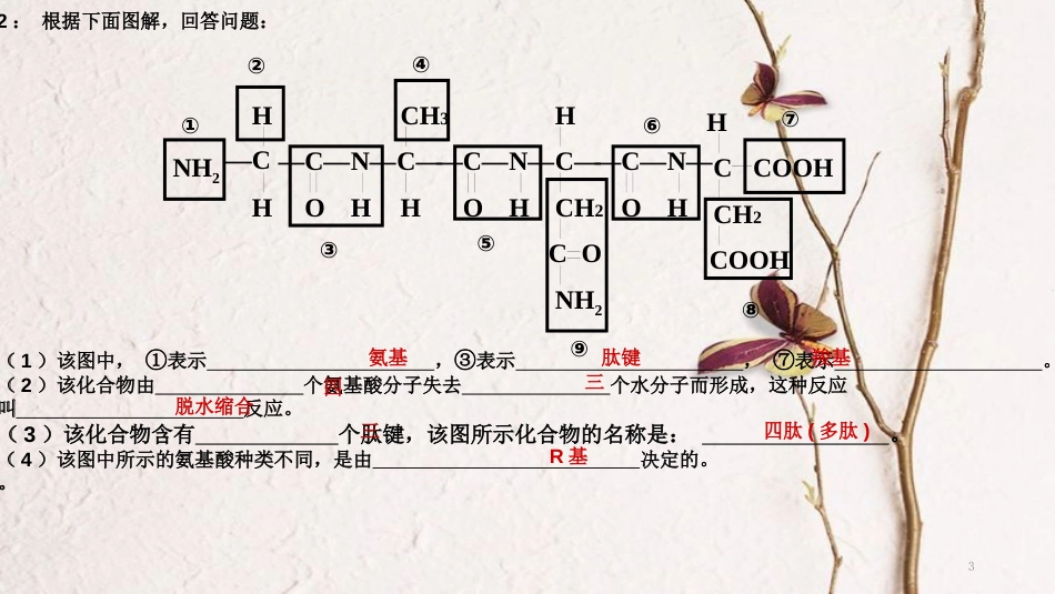 辽宁省北票市高中生物 第二章 组成细胞的分子 2.2 生命活动的主要承担者—蛋白质（2）课件 新人教版必修1_第2页