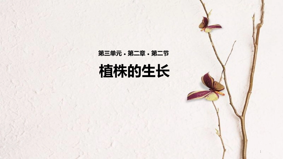 七年级生物上册 第三单元 第二章 第二节《植株的生长》课件 （新版）新人教版_第1页