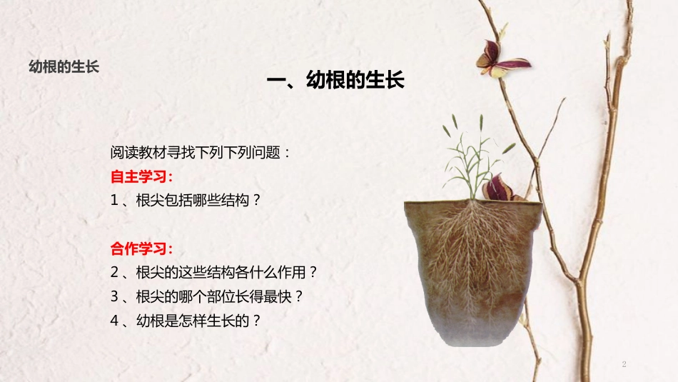 七年级生物上册 第三单元 第二章 第二节《植株的生长》课件 （新版）新人教版_第2页