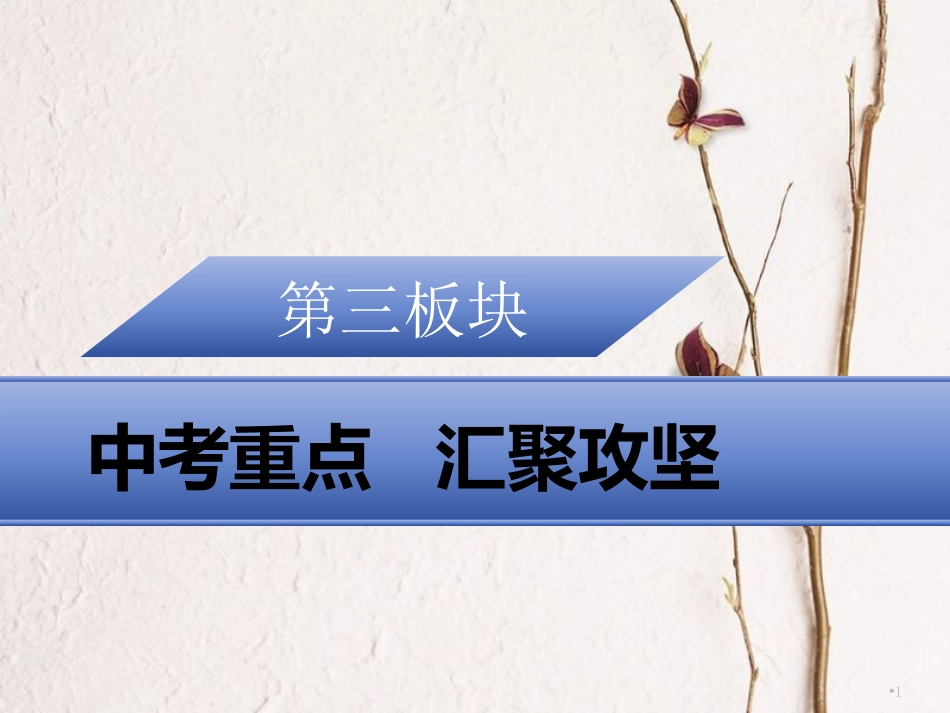 广东省中考政治 中考重点 汇聚攻坚复习课件_第1页