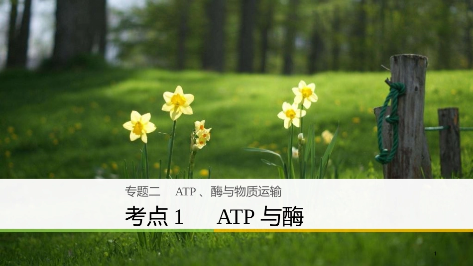 （浙江选考）高三生物二轮专题复习 专题二 ATP、酶与物质运输 考点1 ATP与酶课件 新人教版_第1页