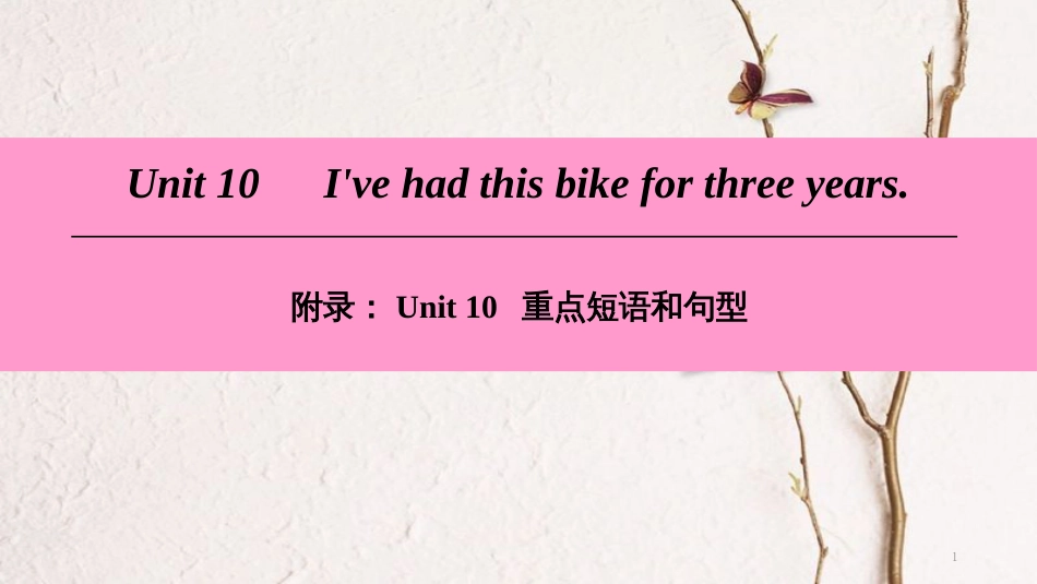 八年级英语下册 Unit 10 I’ve had this bike for three years重点短语和句型课件 （新版）人教新目标版_第1页