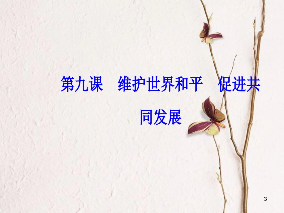 2019版高考政治总复习 第四单元 当代国际社会 第九课 维护世界和平促进共同发展课件 新人教版必修2_第3页
